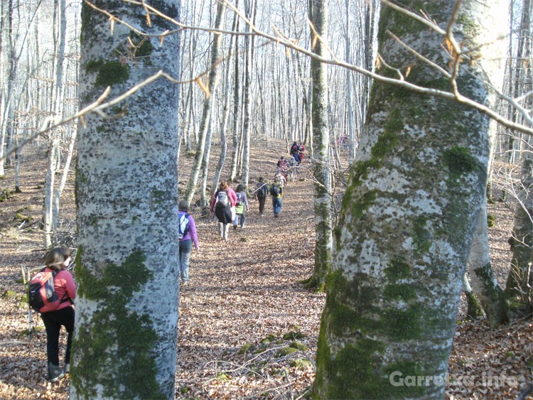 011_Les 24 hores de muntanya 2011 CEO